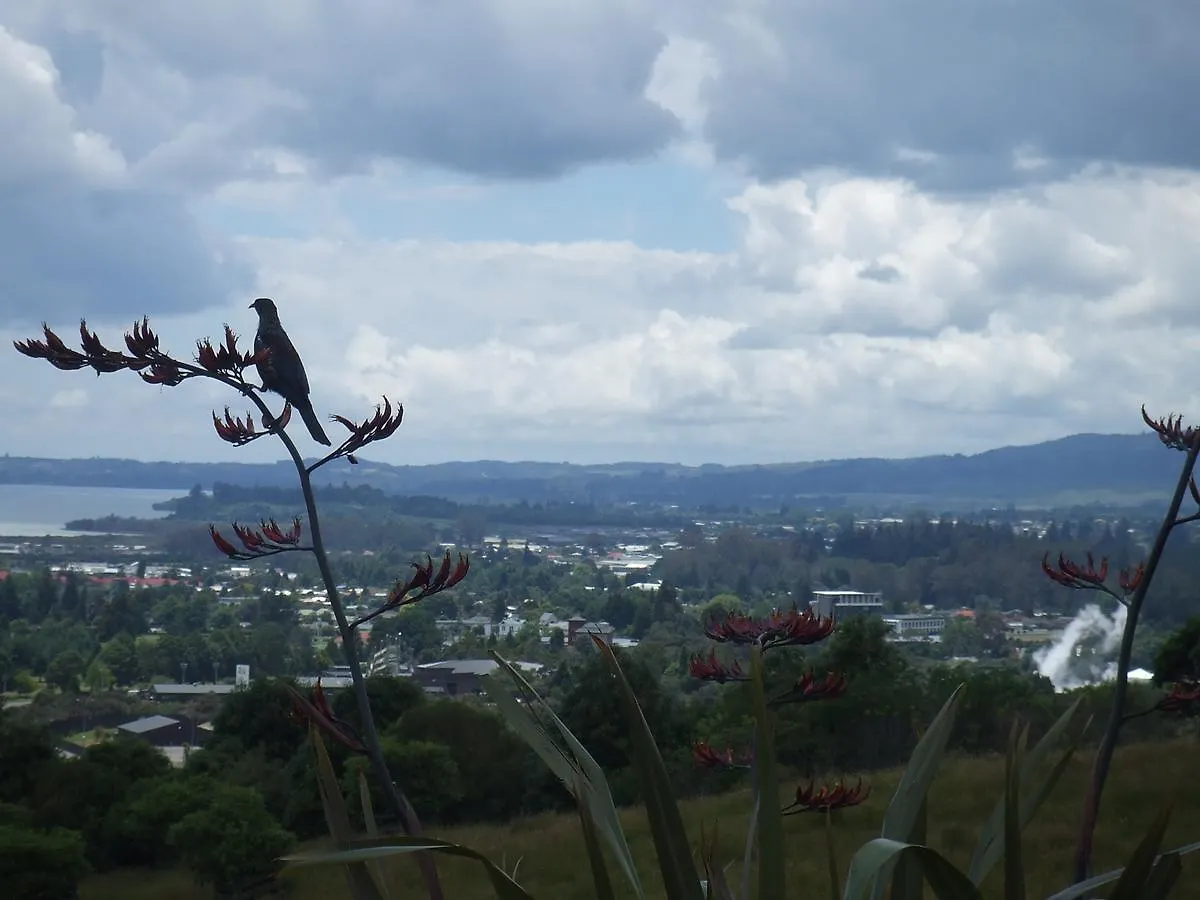 Serendipity Homestay Rotorua