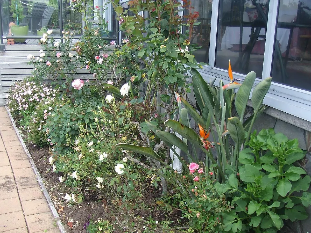 Serendipity Homestay Rotorua Yeni Zelanda
