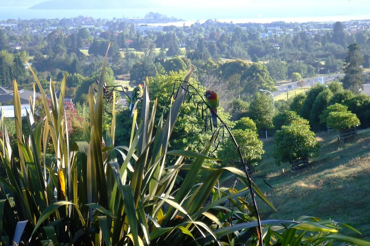 Serendipity Homestay Rotorua 3*,  Nový Zéland